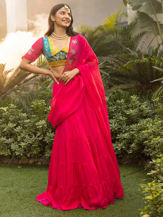 Pink Organza Handwork Saree Elegance