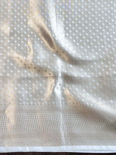 Silver Tissue Saree with Zari Lace