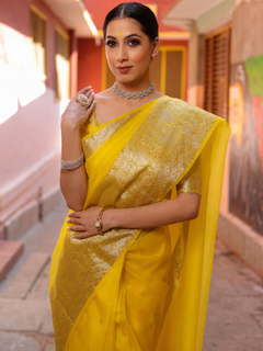 Banarasi Organza Zari Saree