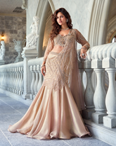 Elegant Indo Western Fusion Saree