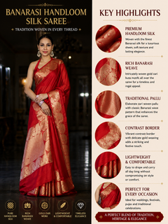 Red Banarasi Handloom Silk Saree with Rich Gold Zari Border & Designer Pallu