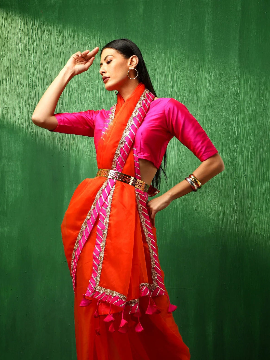 organza saree with contrast border