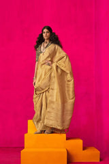 Benarasi tissue saree