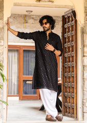 Jet Black Cotton Chikan Mirror Kurta
