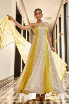 Glow Getter Chinnon Anarkali Set