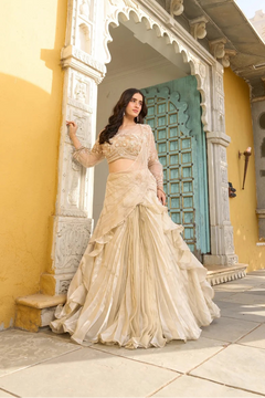 Noor Cream Net Pre-Draped Saree with Moti & Stone Work Blouse