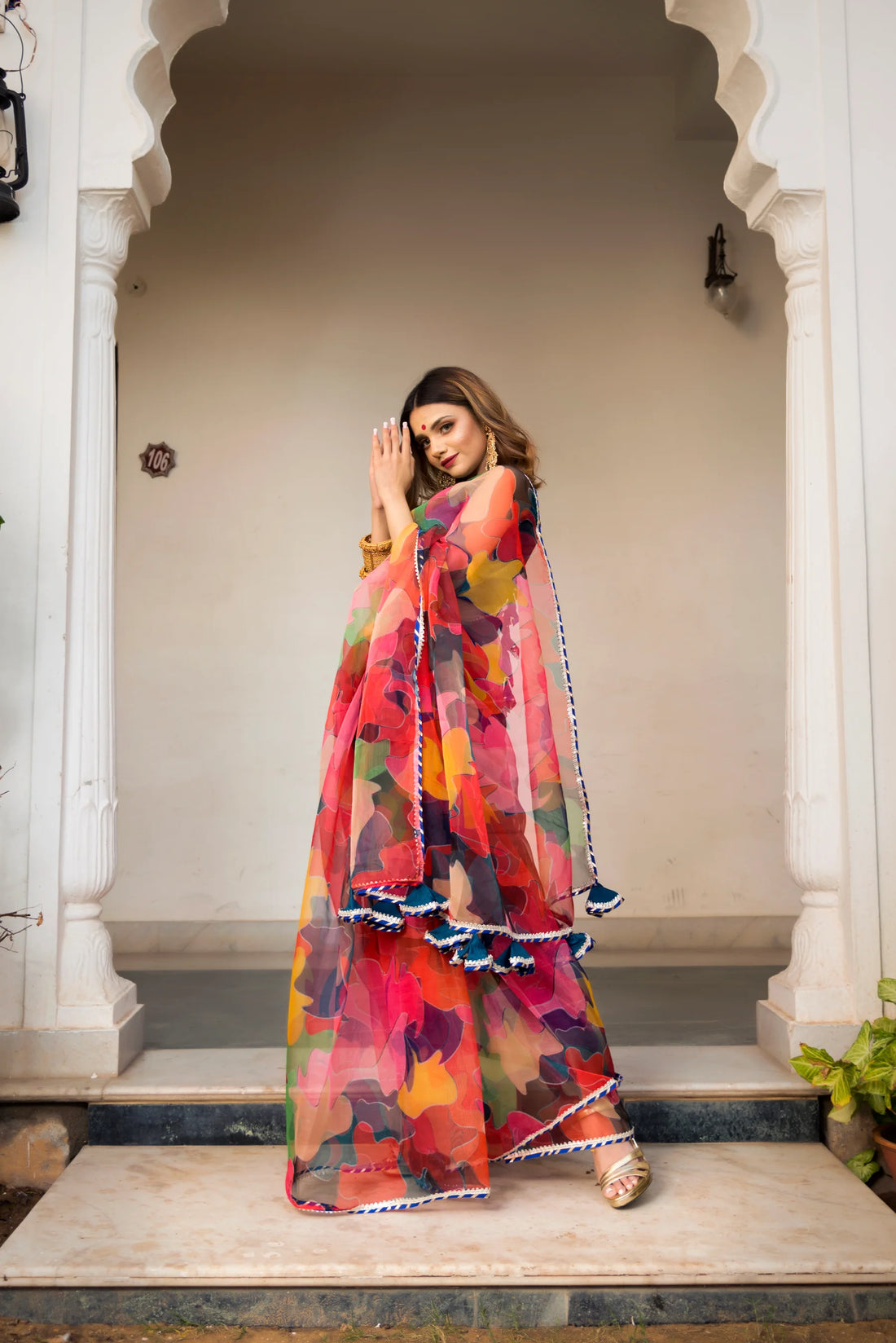 organza saree with blouse