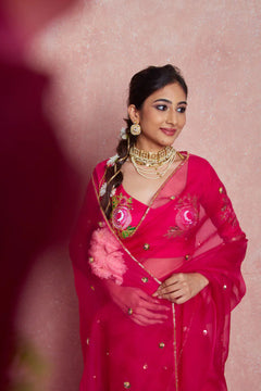 pure organza saree
