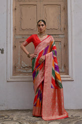 Rang Multicolor Patola Silk Saree