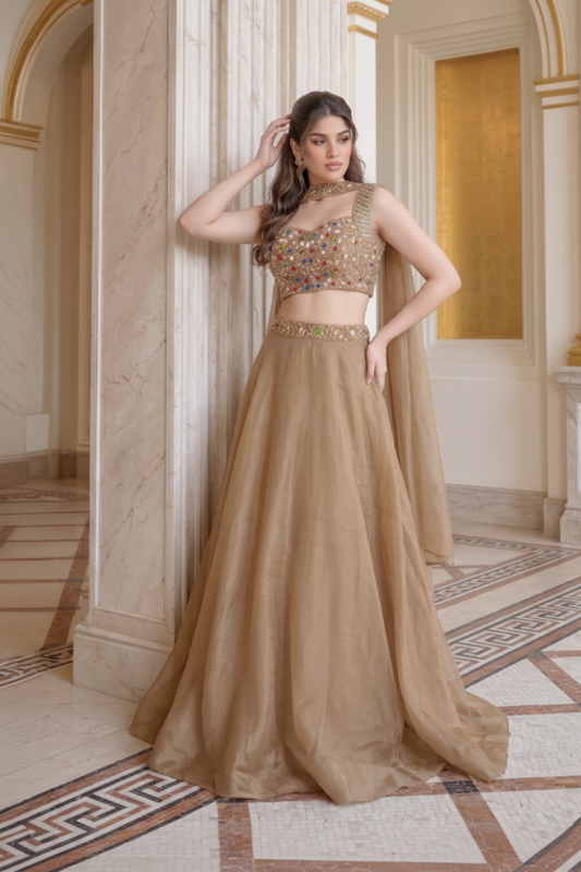 Champagne Gold Embellished Lehenga with dupatta