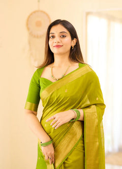 Maheshwari Silk Handloom Cotton Saree