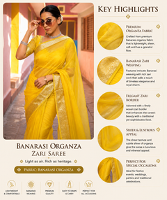 Banarasi Organza Zari Saree