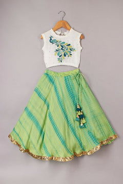 Girls Peacock Sequin Top & Shibori Lehenga Set