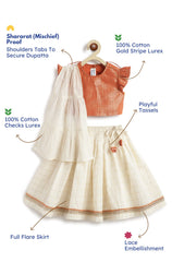 Kids lehenga choli outfit