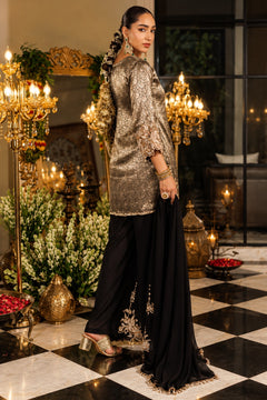 Siyah Shahi Embroidered Palazzo Set