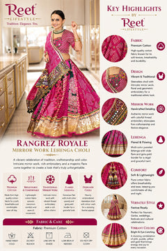 Navrangi Noor Traditional Chaniya Choli