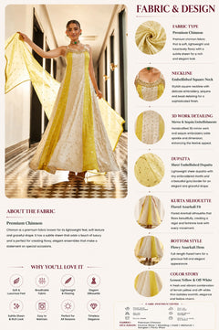 Glow Getter Chinnon Anarkali Set