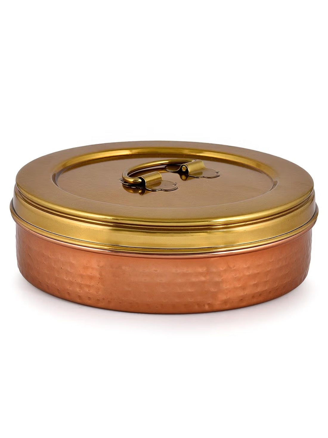 Stainless Steel Elan Roti Papad Storage Box