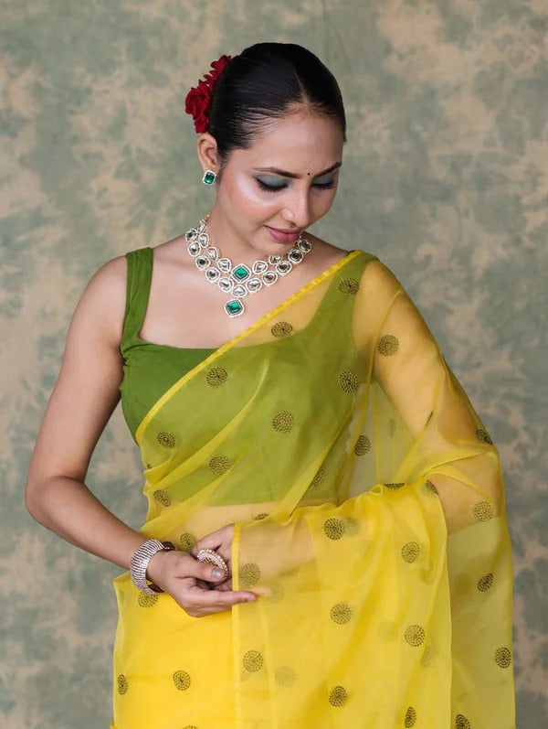 Vastra Veda Ivory Organza Banarasi Butti Saree with Red Embroidery with a Stitched Blouse