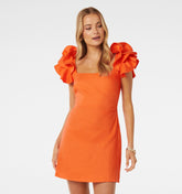 Mackenzie Ruffle Sleeve Mini Dress