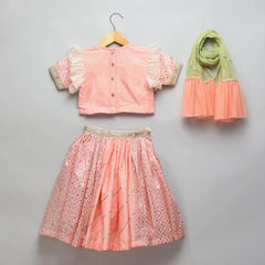 Peach Peacock Printed Chanderi Lehenga Set