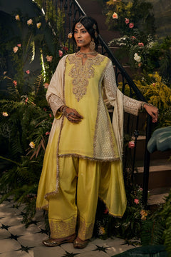 Sunehri Saga-Farshi Salwar Set
