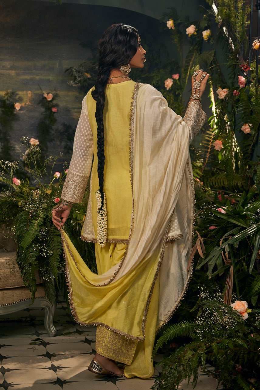 Sunehri Saga-Farshi Salwar Set