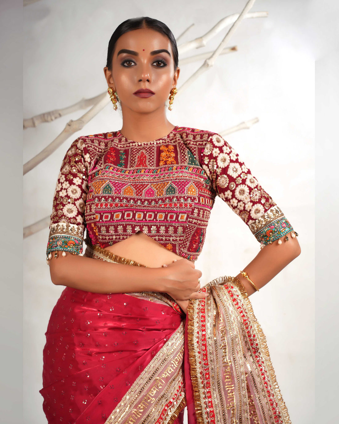 Zari and tassel detailing saree