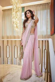 Gulabi Sitara Embellished Saree