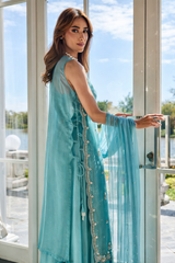 Noor-e-Aqua Handwork Palazzo Set- By Reet Lifestyle