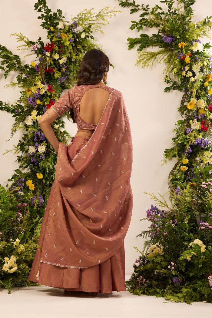 Cinnamon Sheen Embroidered Lehenga Set