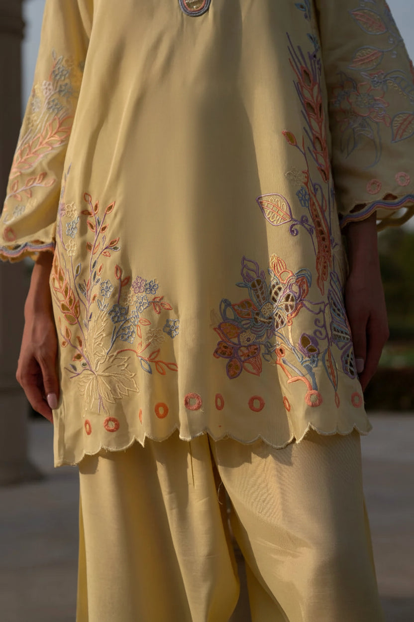 Mehrunissa Floral Cutwork Co-ord Set