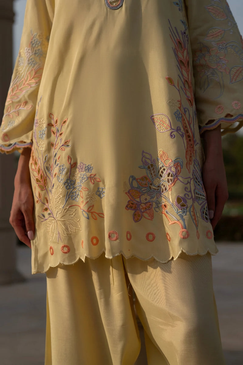 Mehrunissa Floral Cutwork Co-ord Set