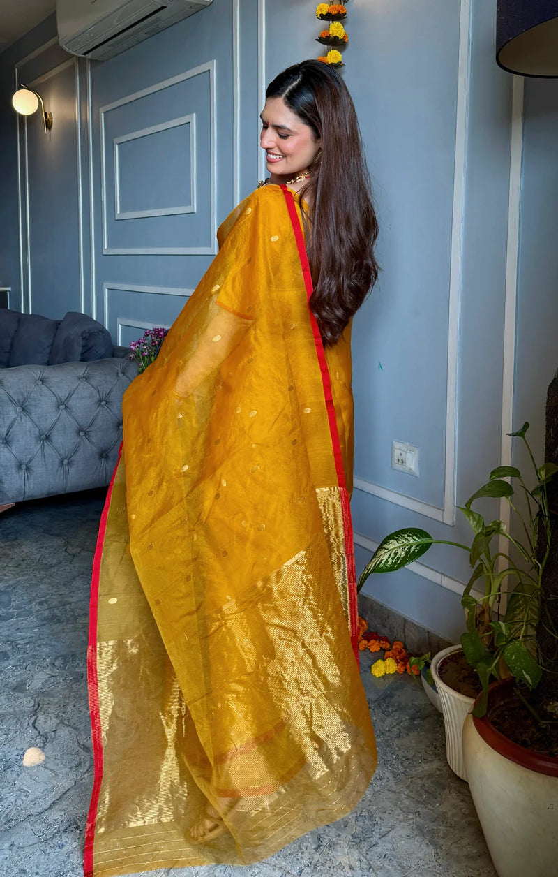 Royal Chanderi Silk Saree with Gold Zari Bootis