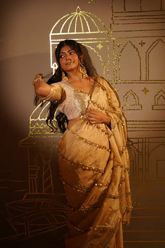Sunehri Noor Tanchui Tissue Saree