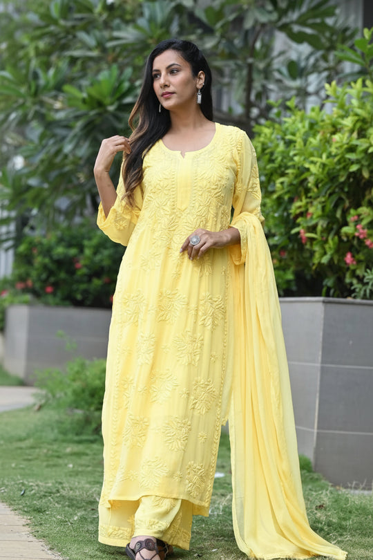 Noor Neelkamal Pure Viscose Chikankari 3D Kurta Set