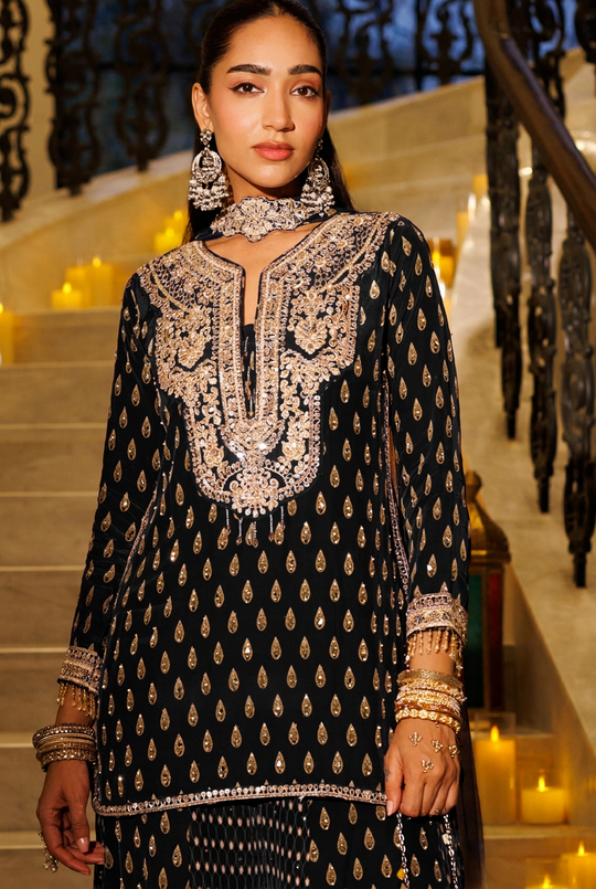 Mehrunisa Darbar Embroidered Sharara Set