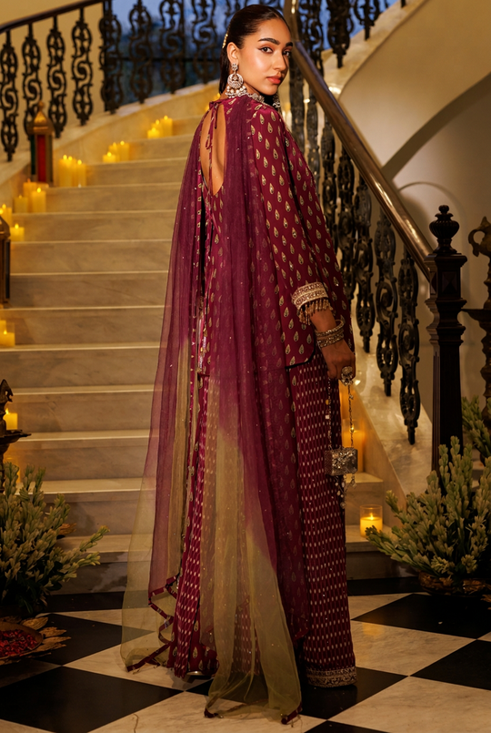 Mehrunisa Darbar Embroidered Sharara Set
