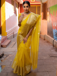 Banarasi Organza Zari Saree