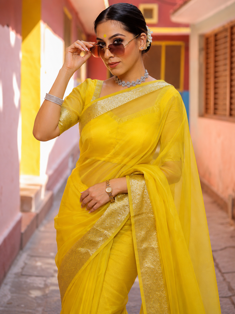 Banarasi Organza Zari Saree