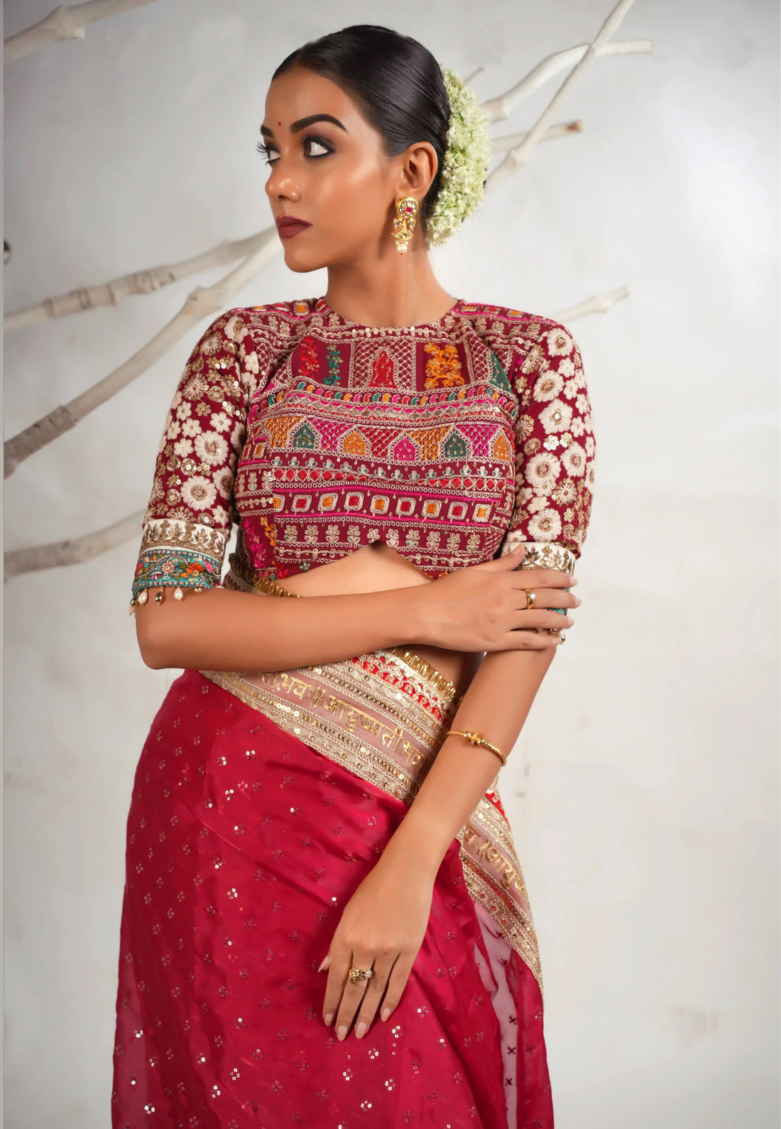 Luxury saree with sangria blouse