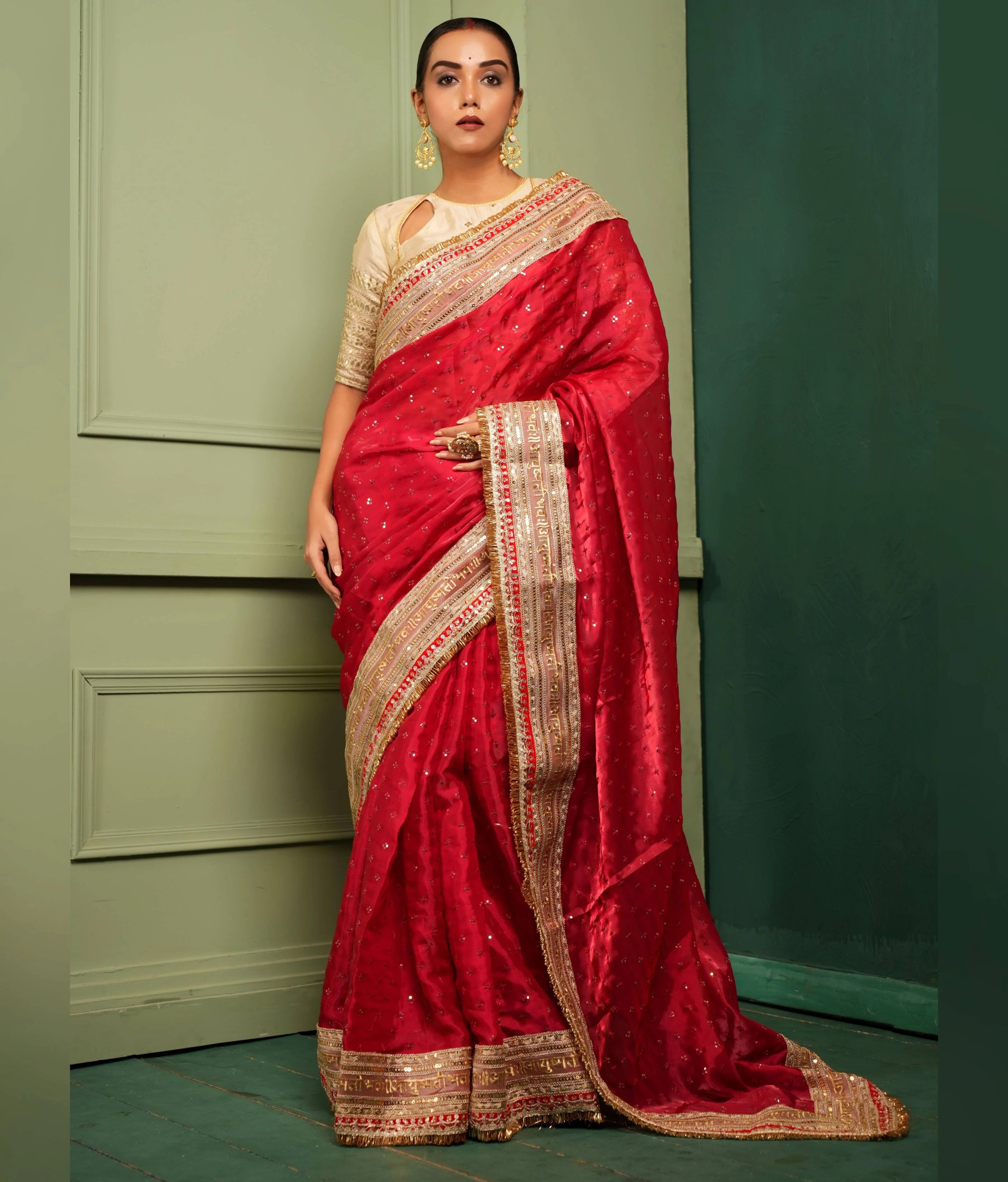 Embellished saree for grand occasions