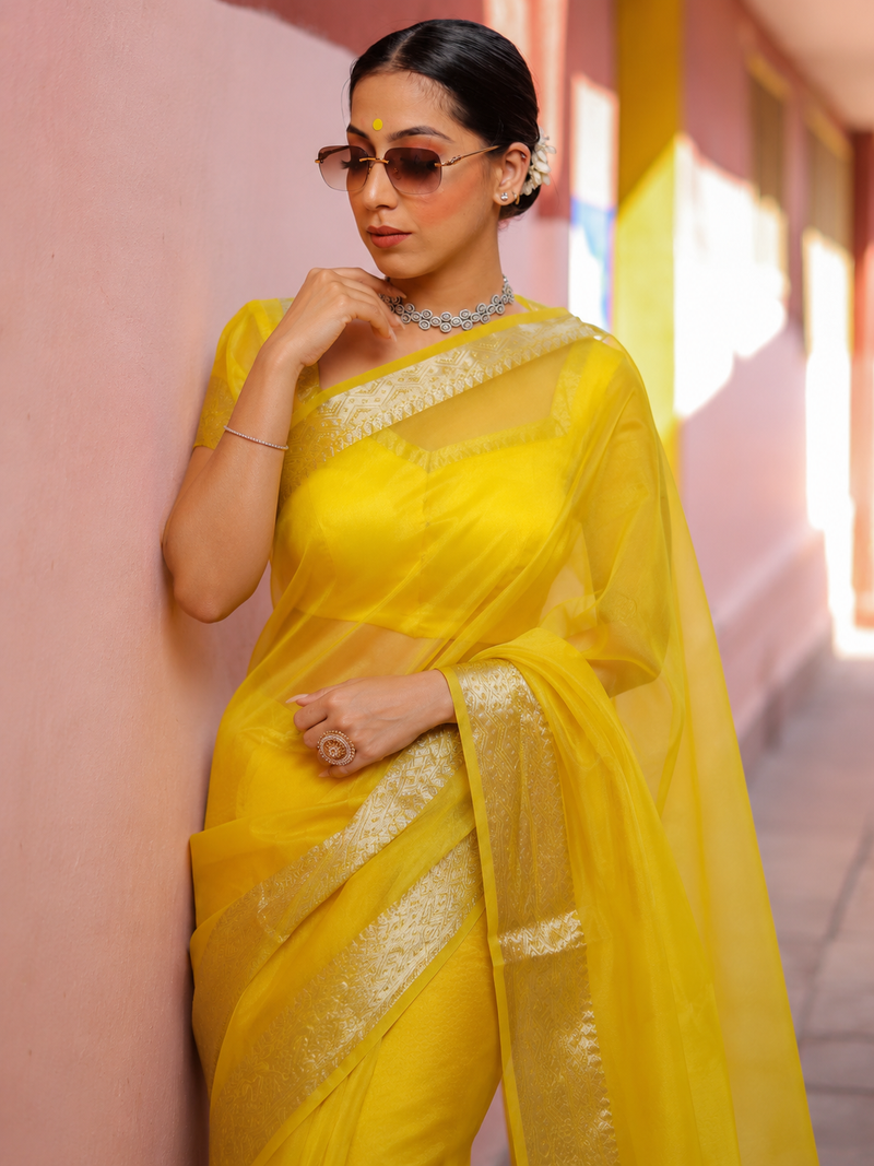Banarasi Organza Zari Saree