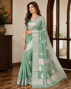 Mint Green Chiffon Saree with Silver Zari Woven Border