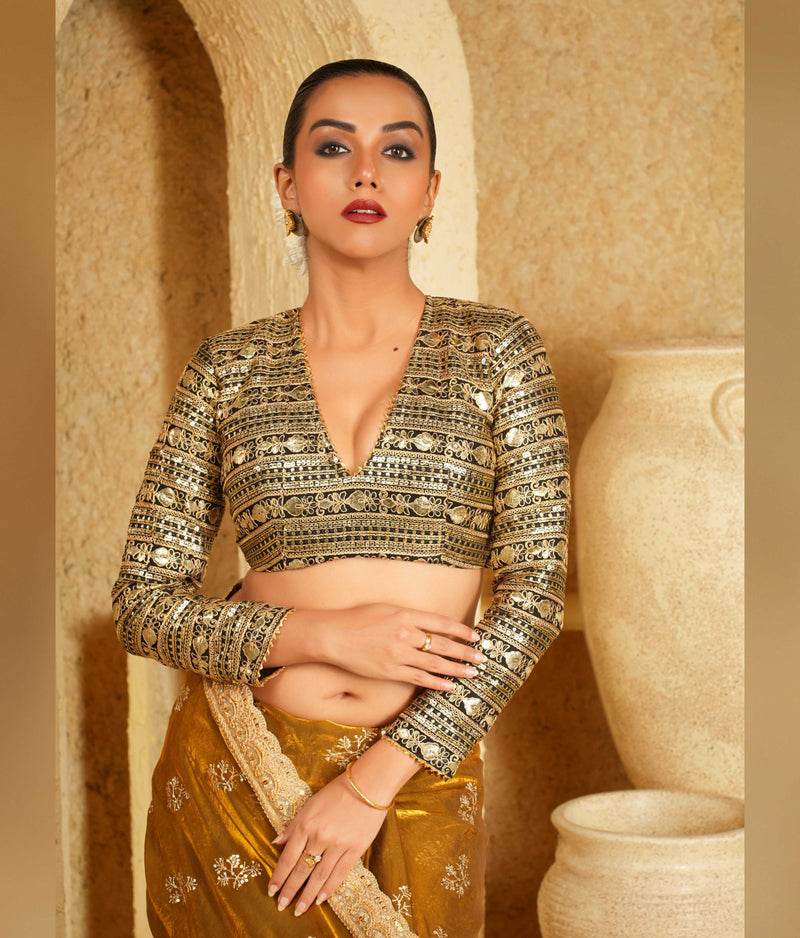 Party wear saree and blouse