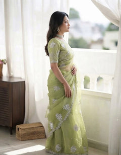 Pista Sitara Embellished Saree