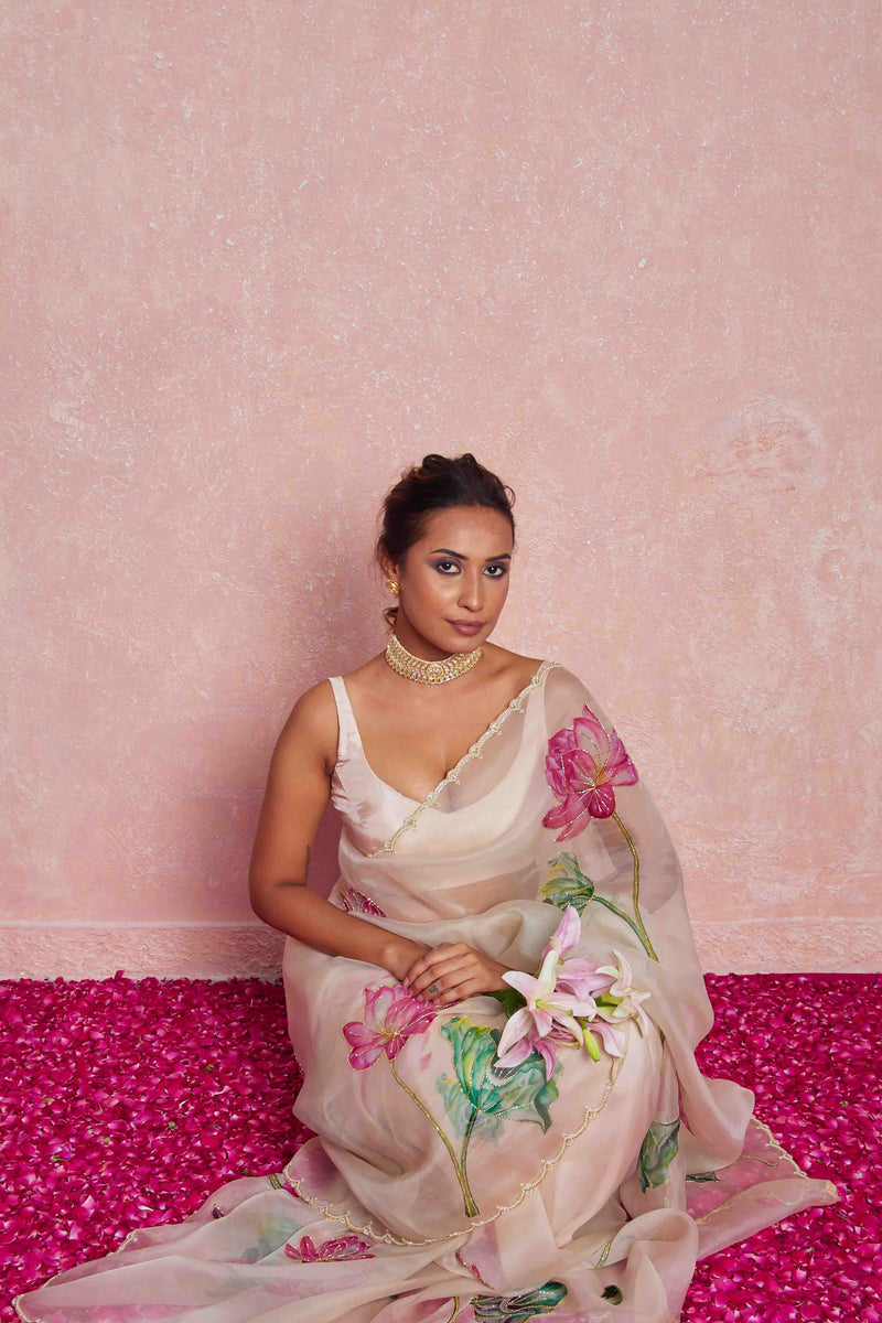 zari embroidered saree