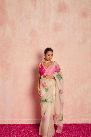 Beige Organza Silk Saree with Raani