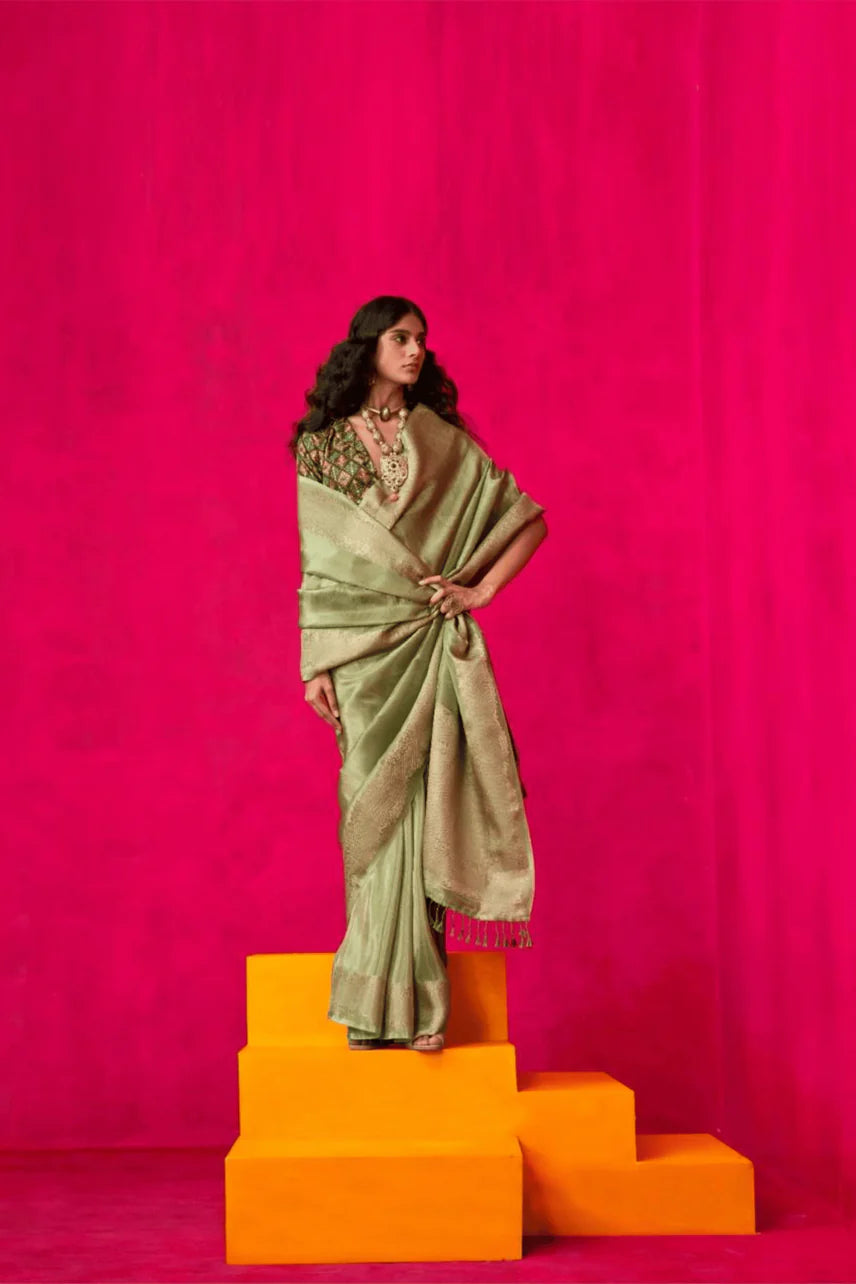 Zari embroidery saree
