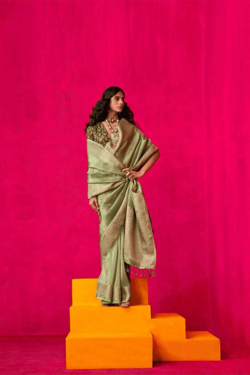 Zari embroidery saree